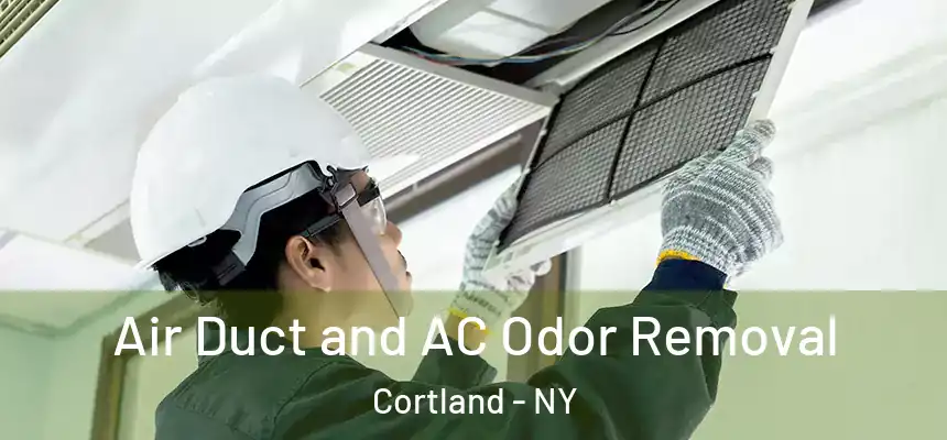  Air Duct and AC Odor Removal Cortland - NY