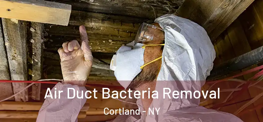  Air Duct Bacteria Removal Cortland - NY