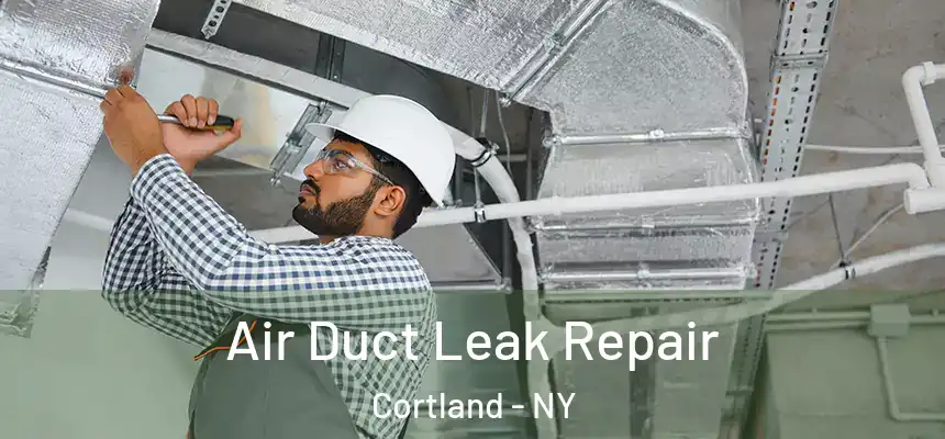  Air Duct Leak Repair Cortland - NY