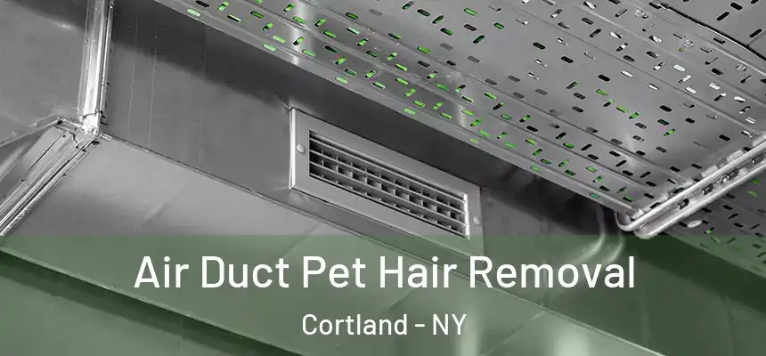  Air Duct Pet Hair Removal Cortland - NY