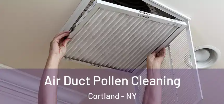  Air Duct Pollen Cleaning Cortland - NY