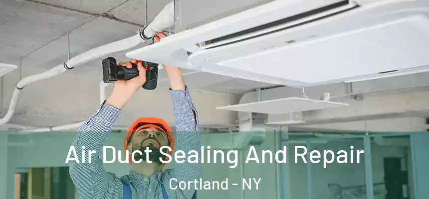  Air Duct Sealing And Repair Cortland - NY