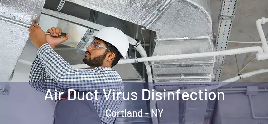  Air Duct Virus Disinfection Cortland - NY