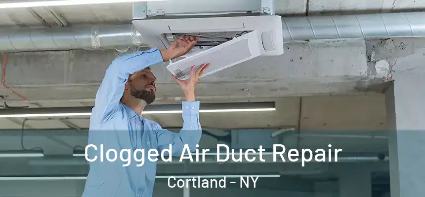  Clogged Air Duct Repair Cortland - NY