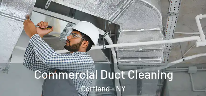  Commercial Duct Cleaning Cortland - NY