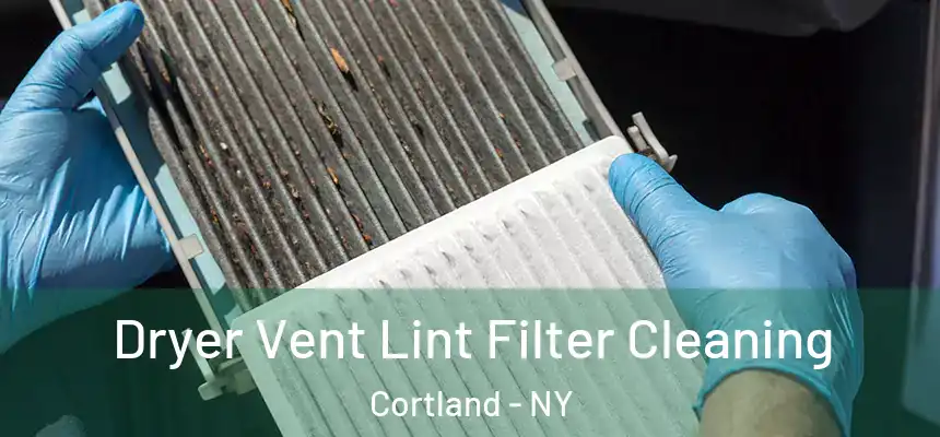  Dryer Vent Lint Filter Cleaning Cortland - NY