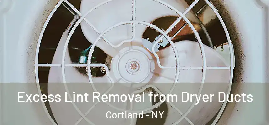  Excess Lint Removal from Dryer Ducts Cortland - NY