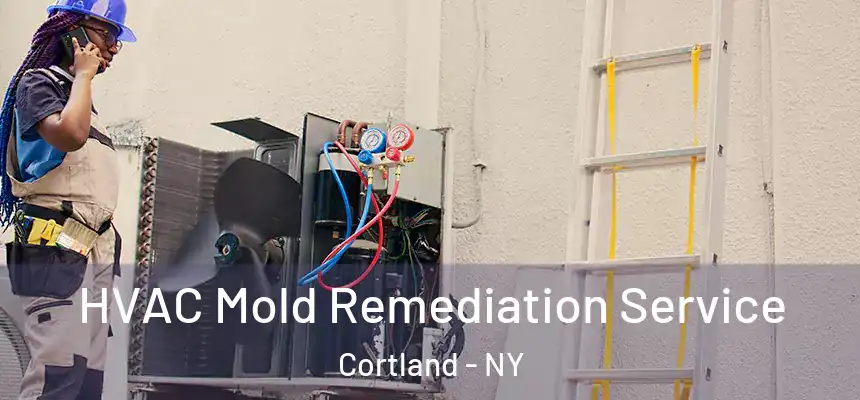  HVAC Mold Remediation Service Cortland - NY