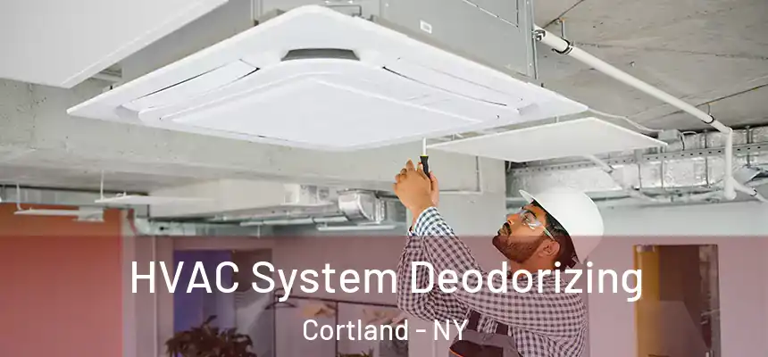  HVAC System Deodorizing Cortland - NY