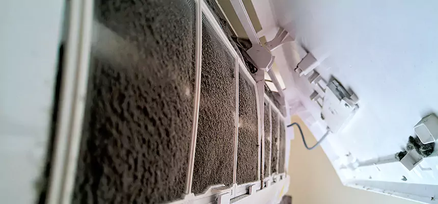 Preventive Air Duct Bacteria Removal in Cortland