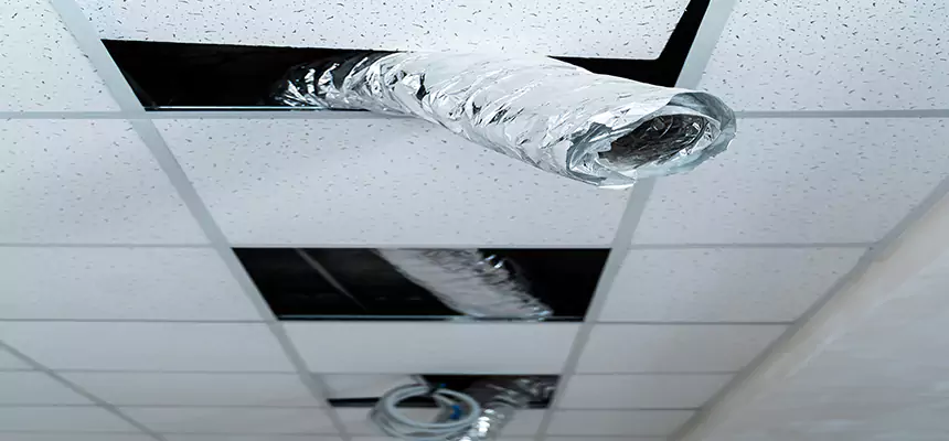 Affordable HVAC Sanitizing After Pest Removal in Cortland