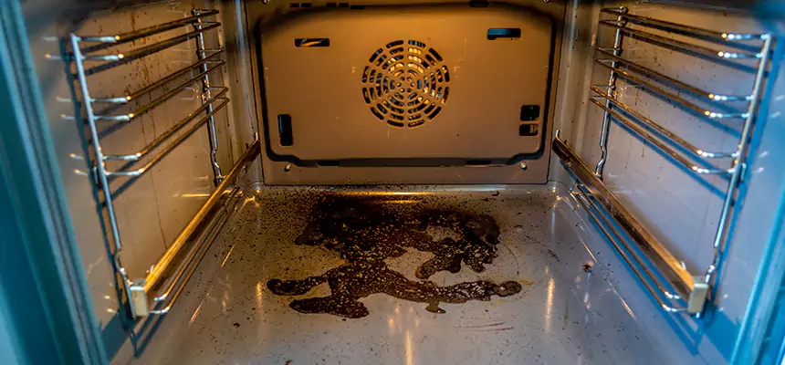 Our Dryer Vent Mold Cleaning Services in Cortland, NY