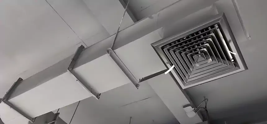 Our Pest Removal From Ducts Services in Cortland, NY