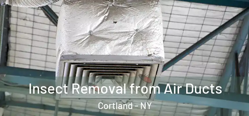  Insect Removal from Air Ducts Cortland - NY