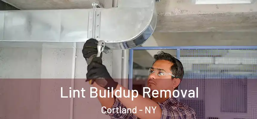  Lint Buildup Removal Cortland - NY