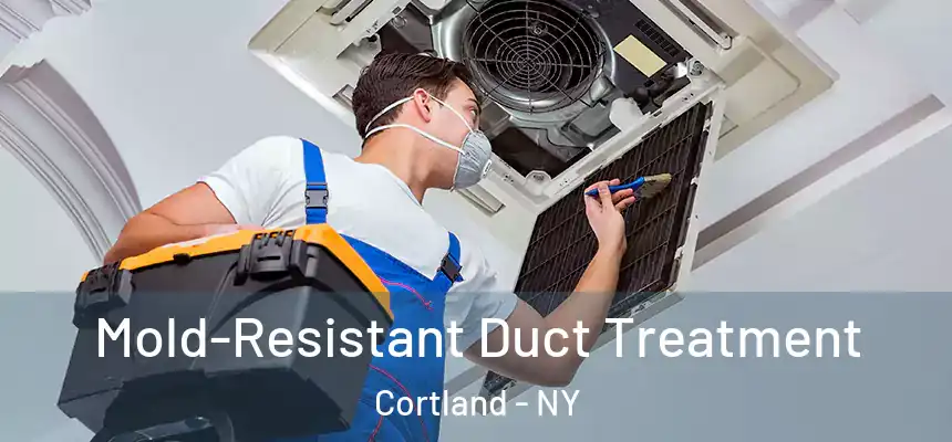  Mold-Resistant Duct Treatment Cortland - NY