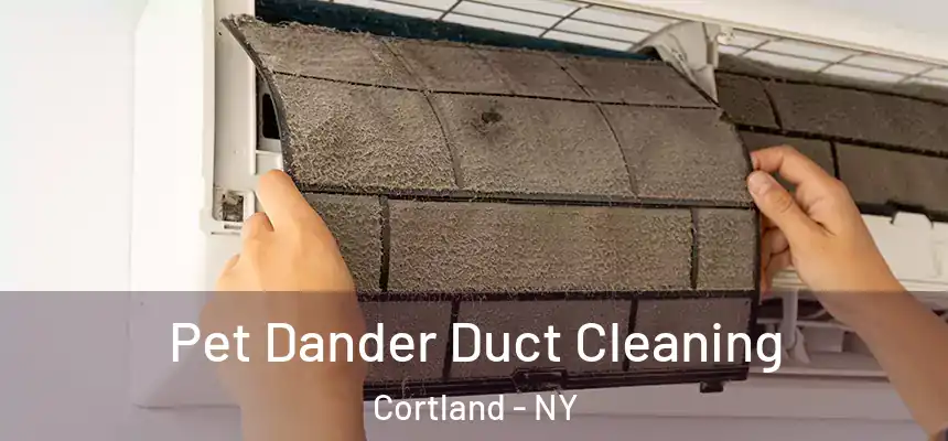  Pet Dander Duct Cleaning Cortland - NY