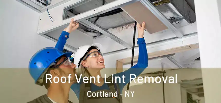  Roof Vent Lint Removal Cortland - NY