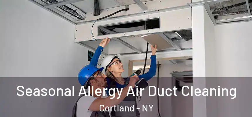  Seasonal Allergy Air Duct Cleaning Cortland - NY