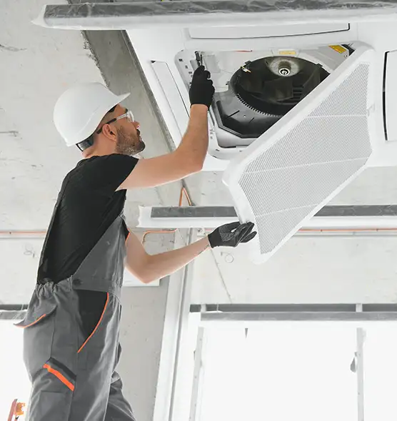 About Air Duct Rodent Removal in Cortland, NY