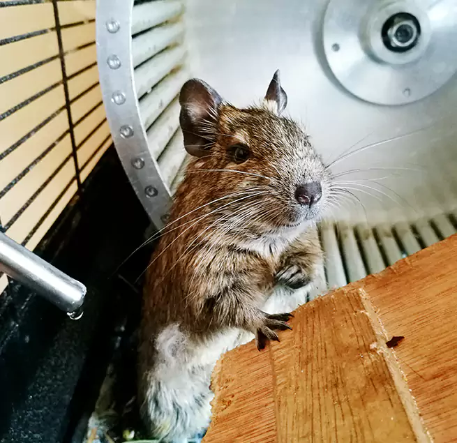 Why Homeowners & Businesses Trust Us Cortland, NY?