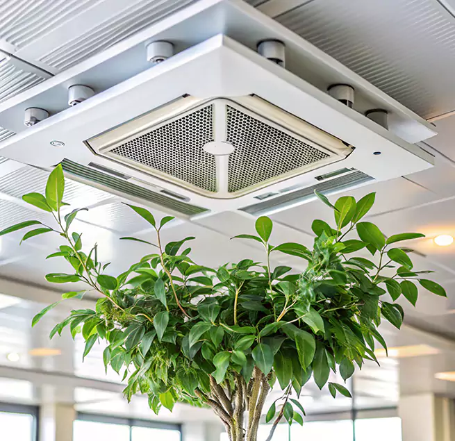 Why Homeowners & Businesses Trust Us in Cortland, NY?