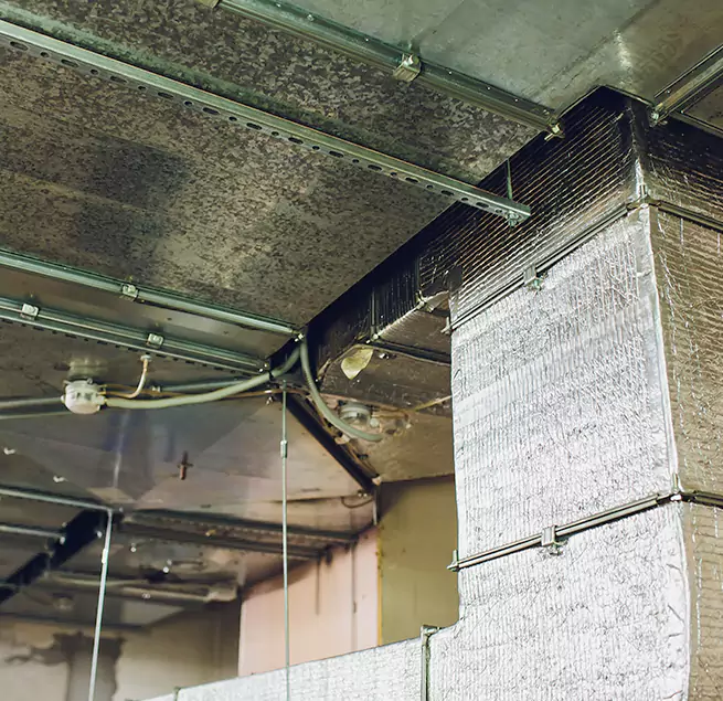 Why Homeowners & Businesses Trust Us in Cortland, NY?